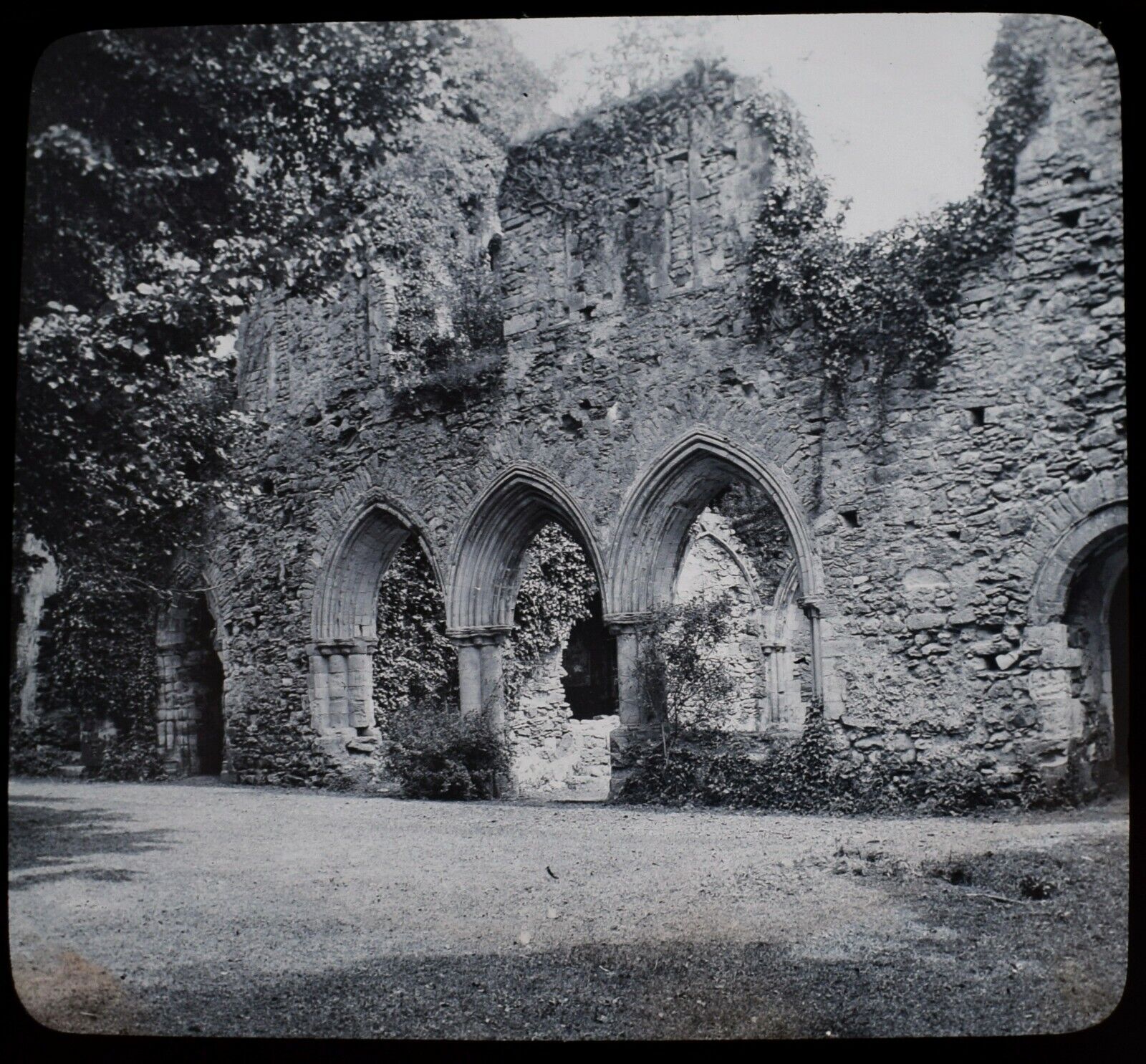 Visitor information and tourist destination details for Netley Abbey