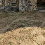 Netley Abbey Cloister
