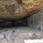 Reredorter and Infirmary